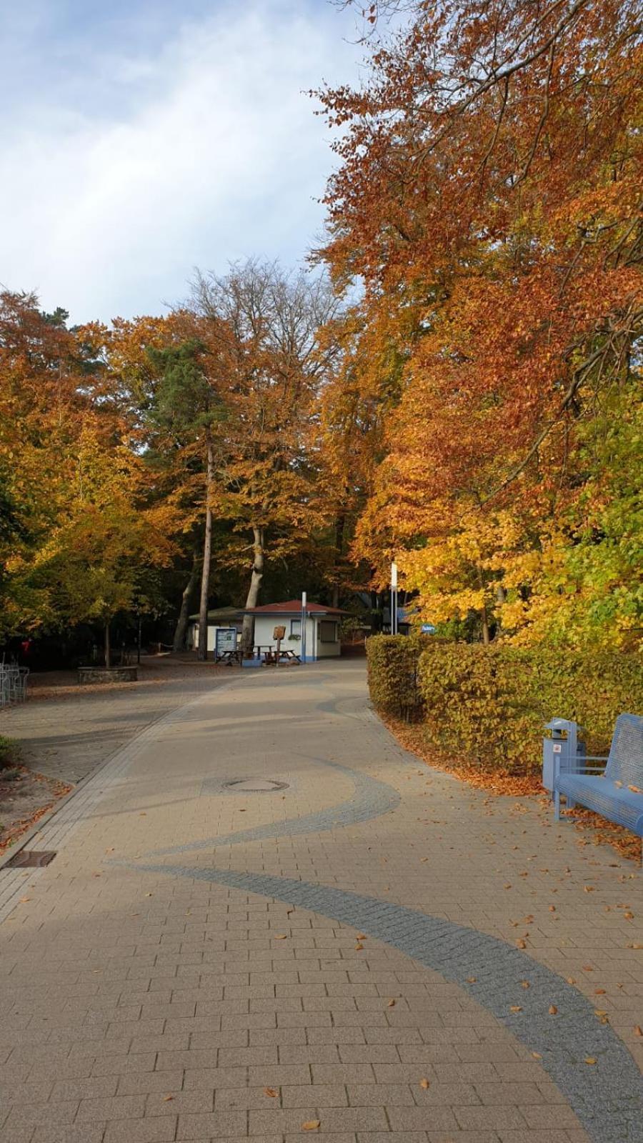 Ab zum Strand Zempin Exterior foto